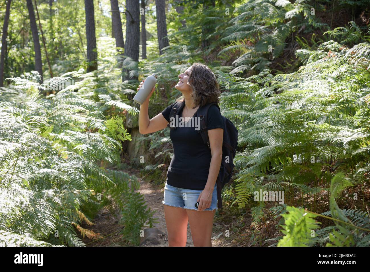 caucasian woman hiking in the french forest of Fontainebleau Stock ...