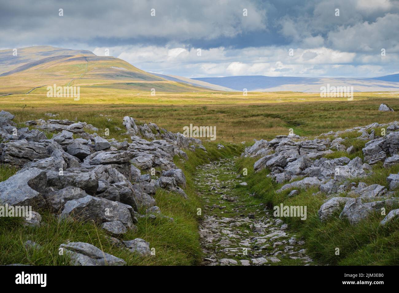 Whernside is a mountain in the Yorkshire Dales in Northern England. It is the highest of the Yorkshire Three Peaks, the other two being Ingleborough a Stock Photo
