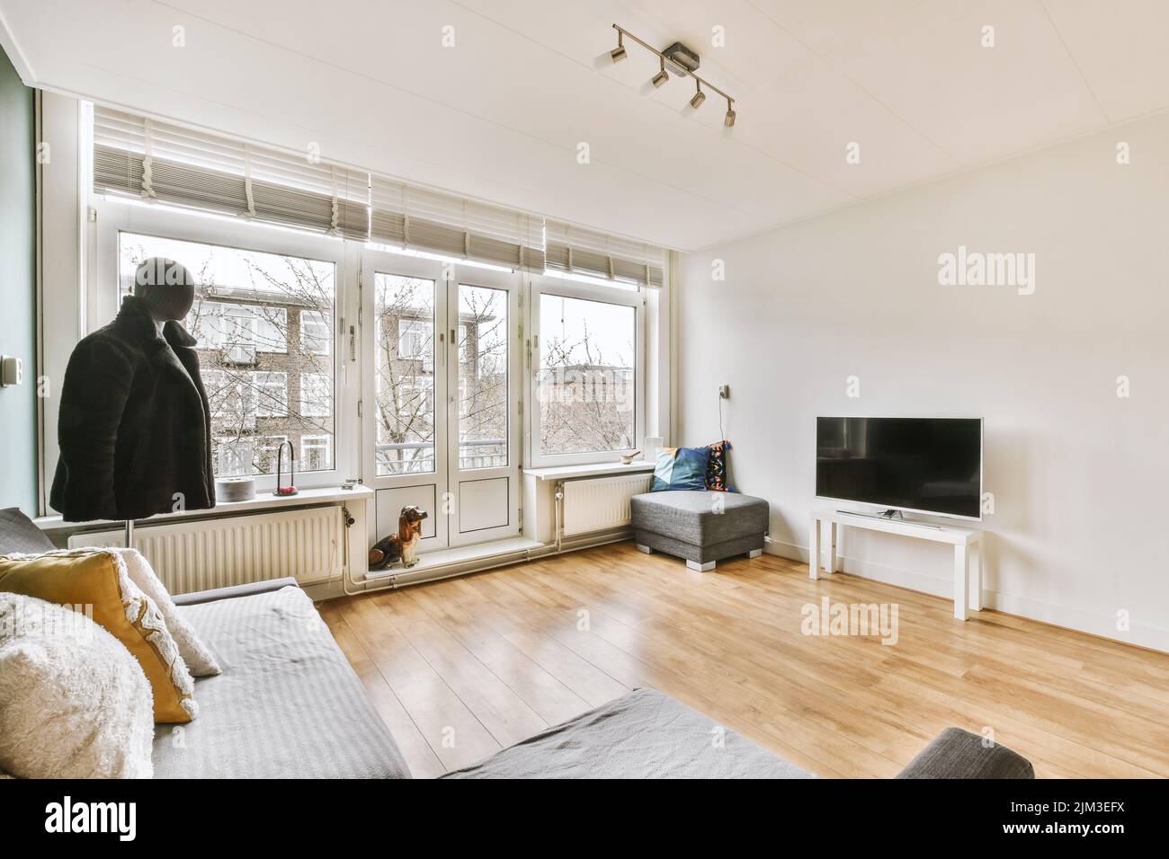 Minimalist Interior Design for Small Living Room Guide