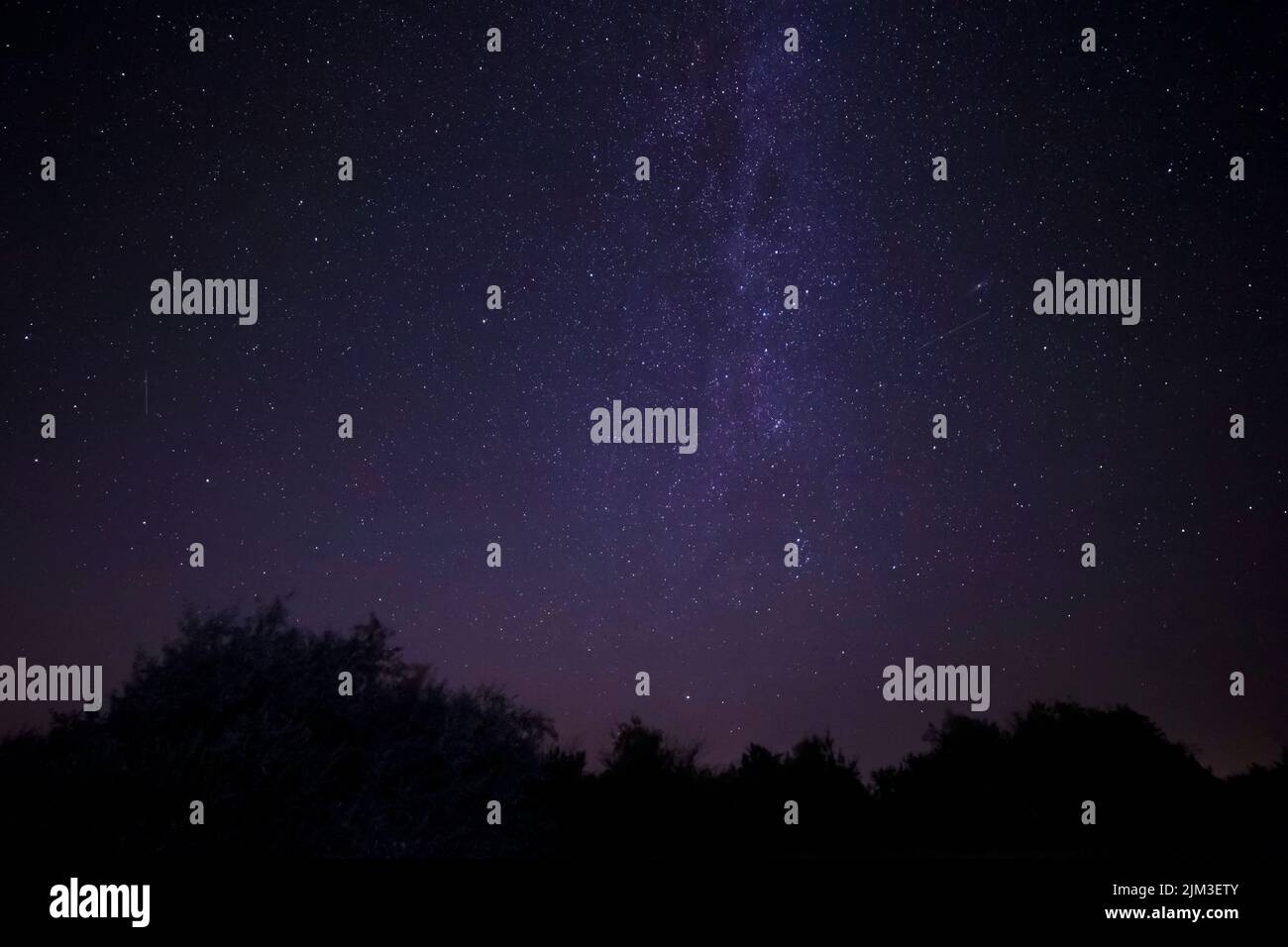 view on starry night sky with Milky Way galaxy above trees Stock Photo ...