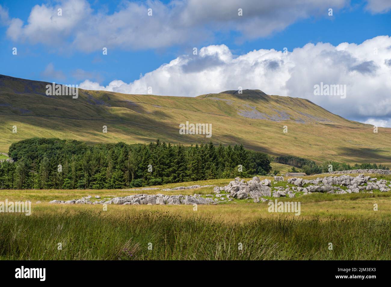 Whernside is a mountain in the Yorkshire Dales in Northern England. It is the highest of the Yorkshire Three Peaks, the other two being Ingleborough a Stock Photo