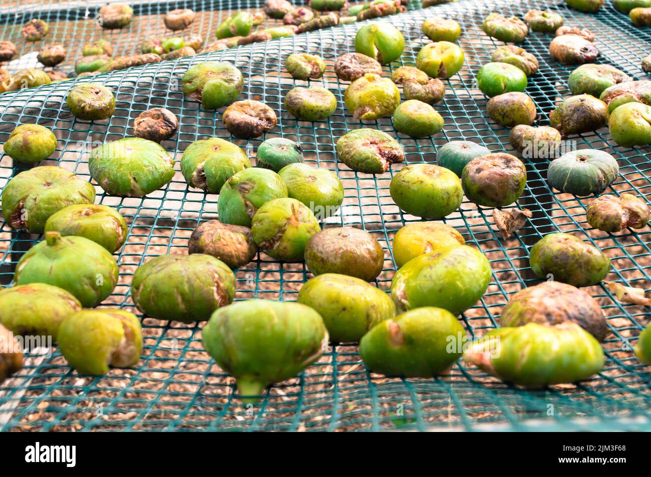 Drying figs hires stock photography and images Alamy