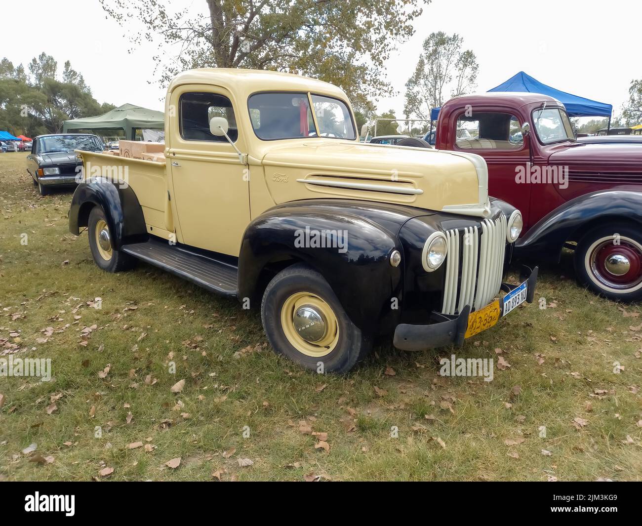 Old cream and black utility Ford pickup truck 1942 - 1947 in the countryside. Nature grass trees. Classic car show. Copyspace Stock Photo