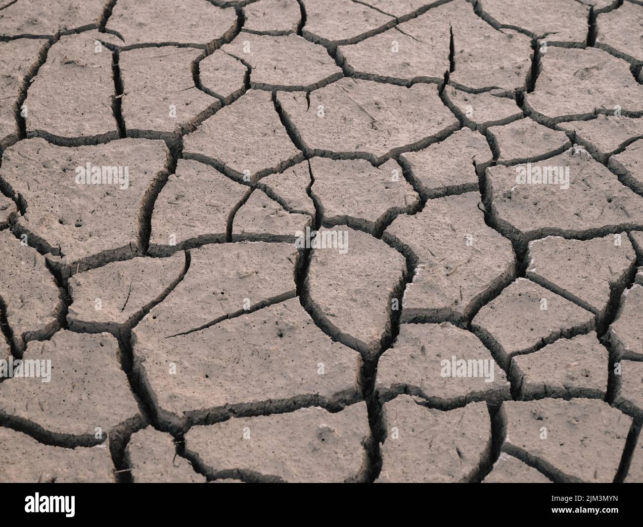 Cracked parched mud in a drought background - dry earth skin dry riverbed background Stock Photo