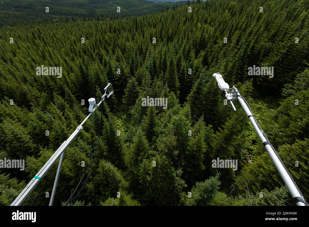 Scientific instruments are seen attached to the Flux tower of the Montmorency Forest Wednesday July 13, 2022. Located North of Quebec City Montmorency Stock Photo