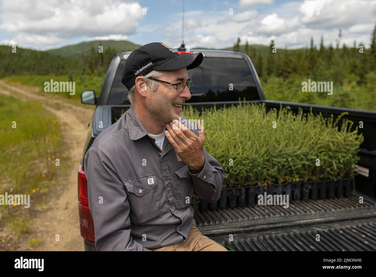 Jean-Francois Lamarre takes a lunch break in is pickup truck full of tree seedlings in the Montmorency Forest Wednesday July 13, 2022. Located North o Stock Photo