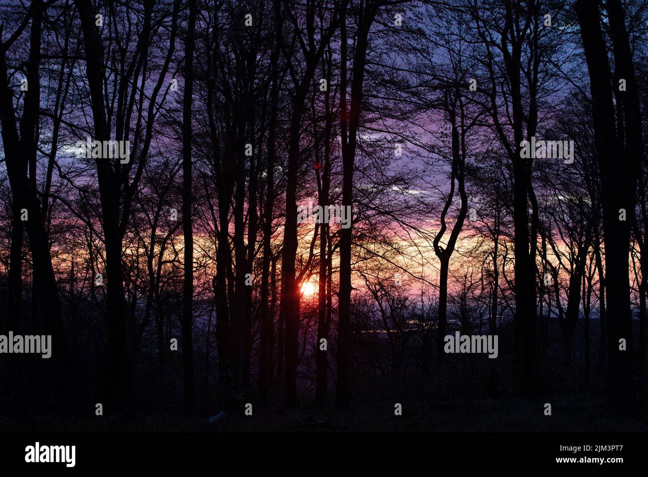 A beautiful landscape with a sunset seen from the forest Stock Photo ...