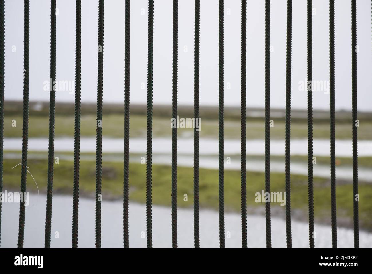 Old, metal fence bars on a blurred rural area Stock Photo Alamy