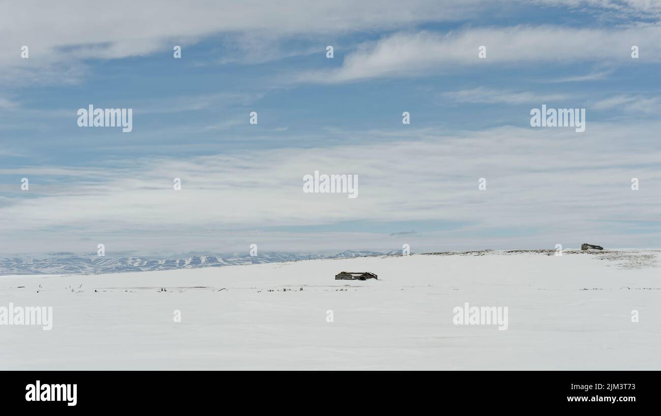 Two desolate log cabins ruins along Yukon's Beaufort Sea coast in