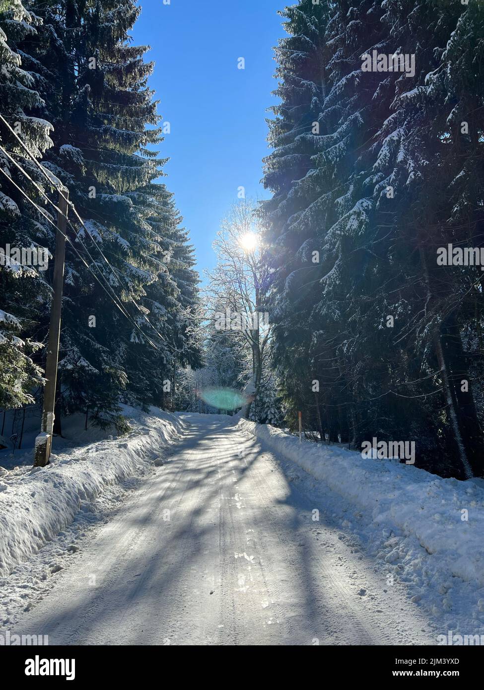 Vertical shot road covered hi-res stock photography and images - Alamy