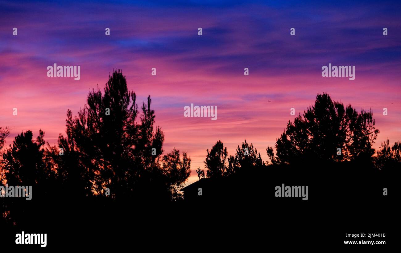 A silhouette of trees against the vibrant sunset sky over Irvine ...
