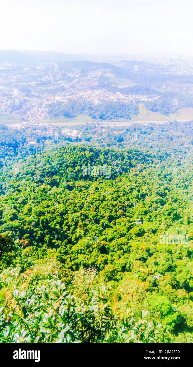 An aerial view of lush green forests of dense trees Stock Photo - Alamy