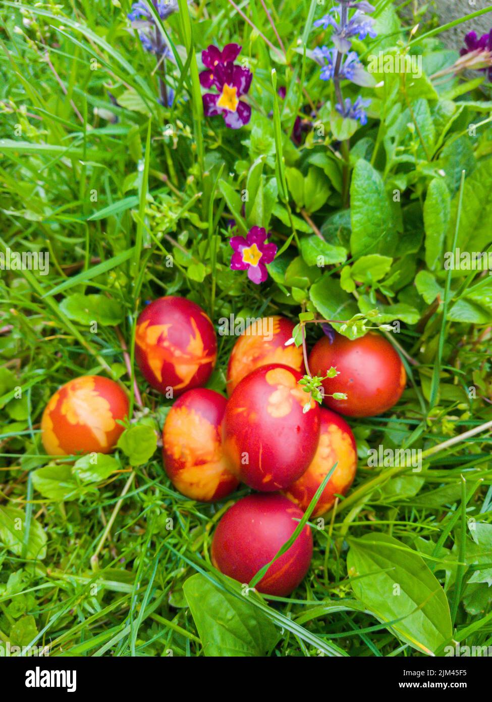 Orthodox Easter, red eggs in grass Stock Photo