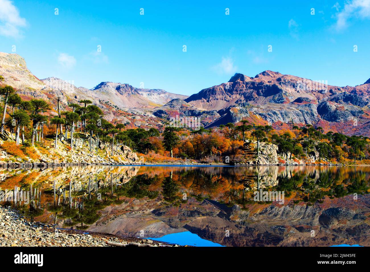 A mesmerizing view of mountains and trees reflected in a calm lake ...