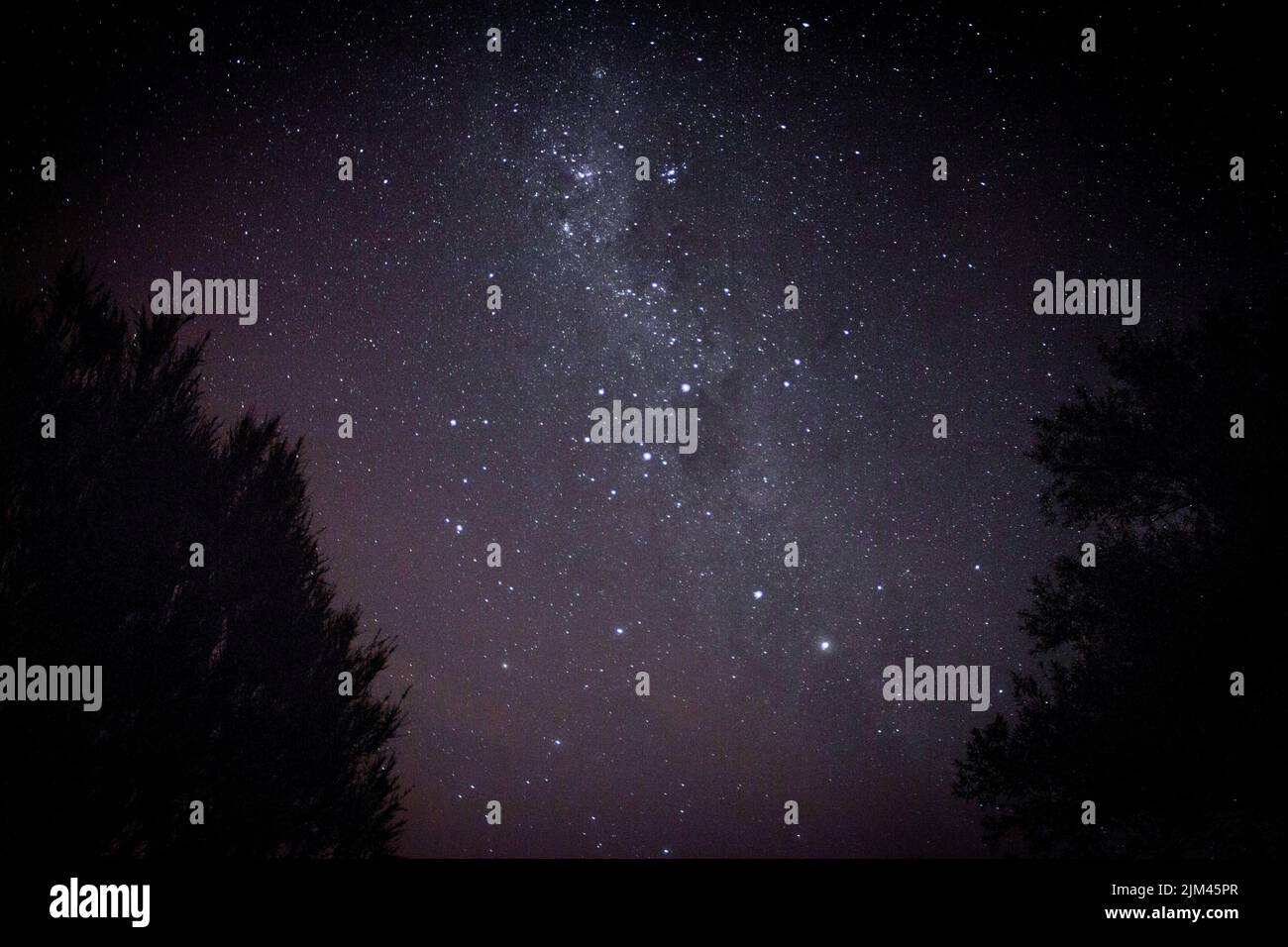 A silhouette of trees against a beautiful starry night sky Stock Photo ...