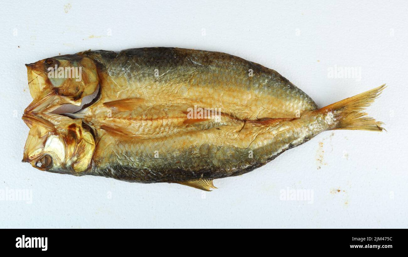 A large smoked Kipper fish isolated on a white background Stock Photo