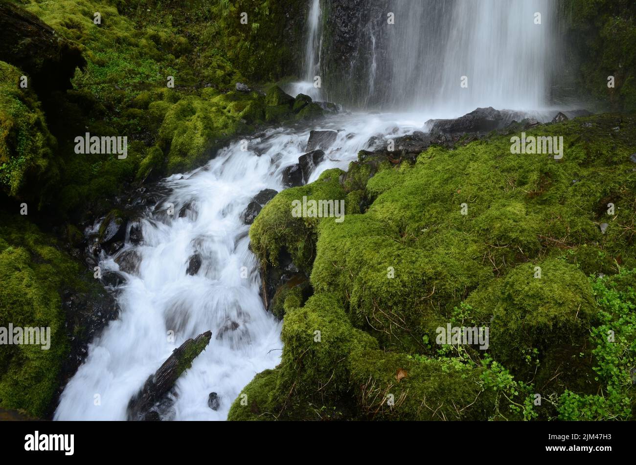 A mesmerizing view of a waterfall flowing over the mossy rocks in a ...