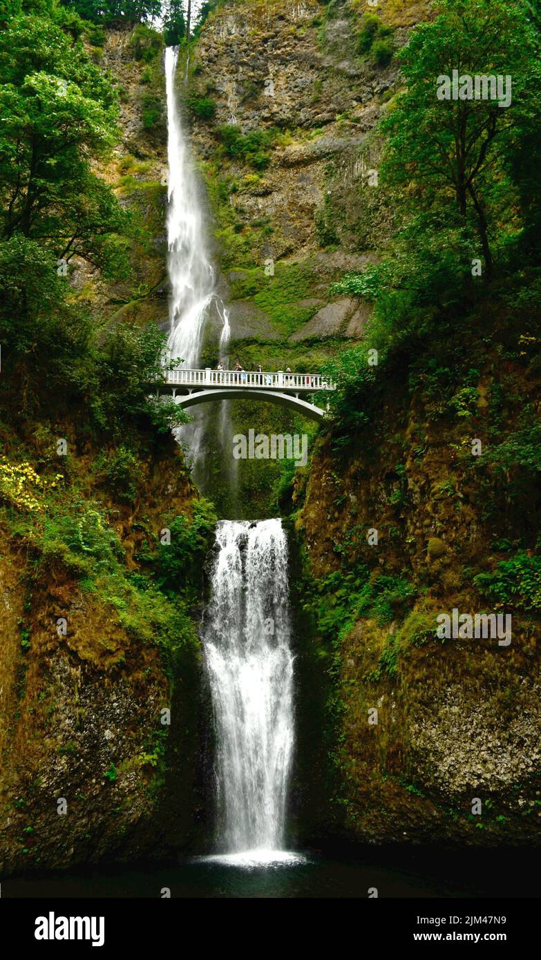 A mesmerizing view of a waterfall flowing over the mossy rocks in a ...