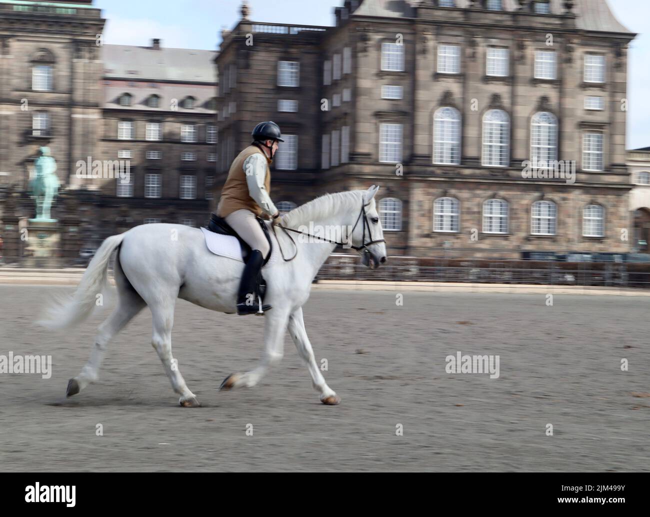 A guard horse riding in front of Queen's castle in Copenhagen, Denmark
