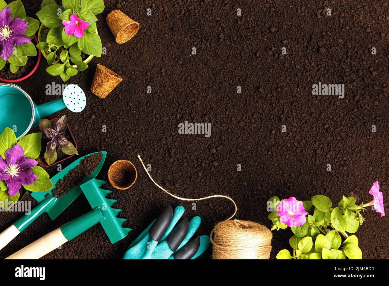 Plants flowers gardening tools on soil background. Stock Photo