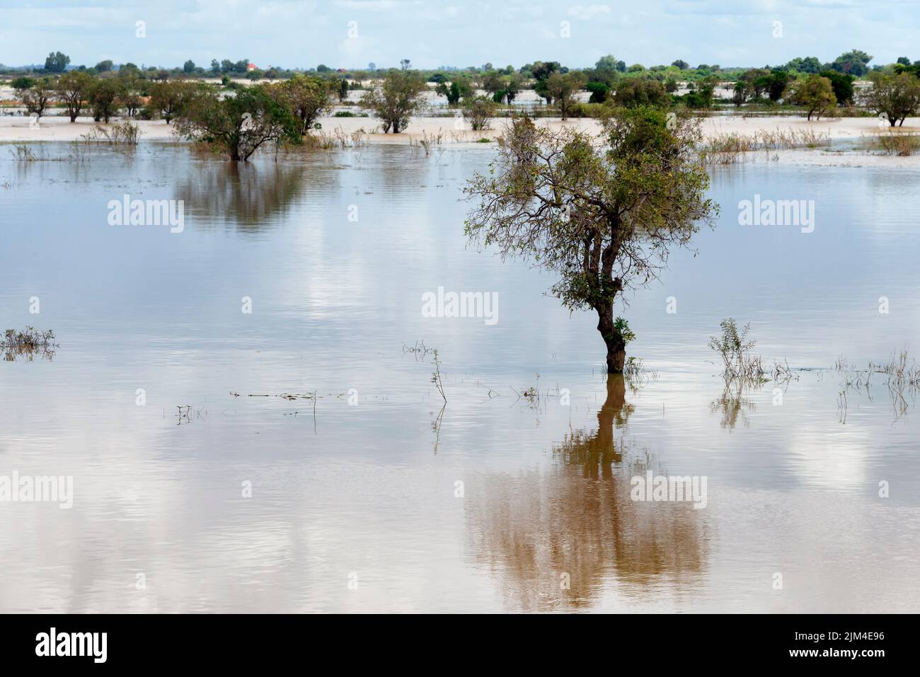 Flooded rural area with trees on water Stock Photo