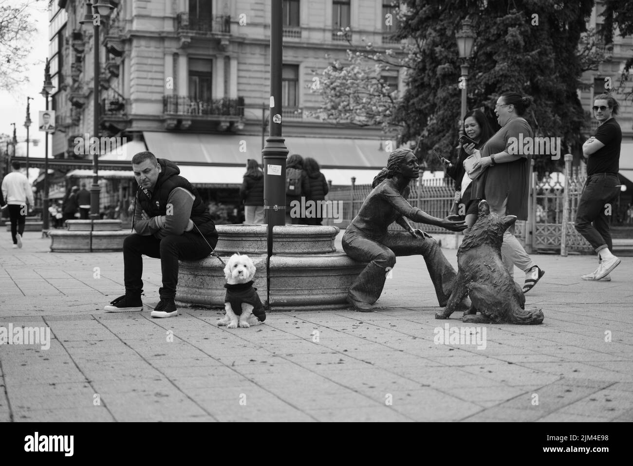 A view in black and white of people in the streets of Budapest, Hungary Stock Photo