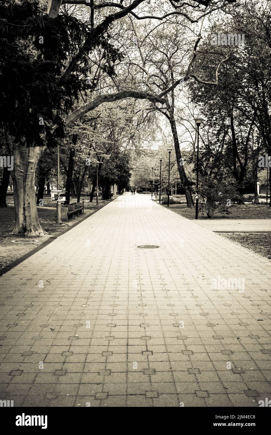 A beautiful view in black and white of an outdoor park Stock Photo - Alamy