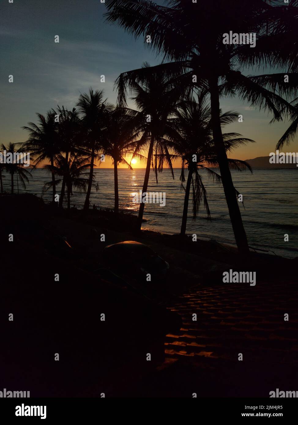 A vertical shot of palm trees near the ocean at sunrise Stock Photo - Alamy