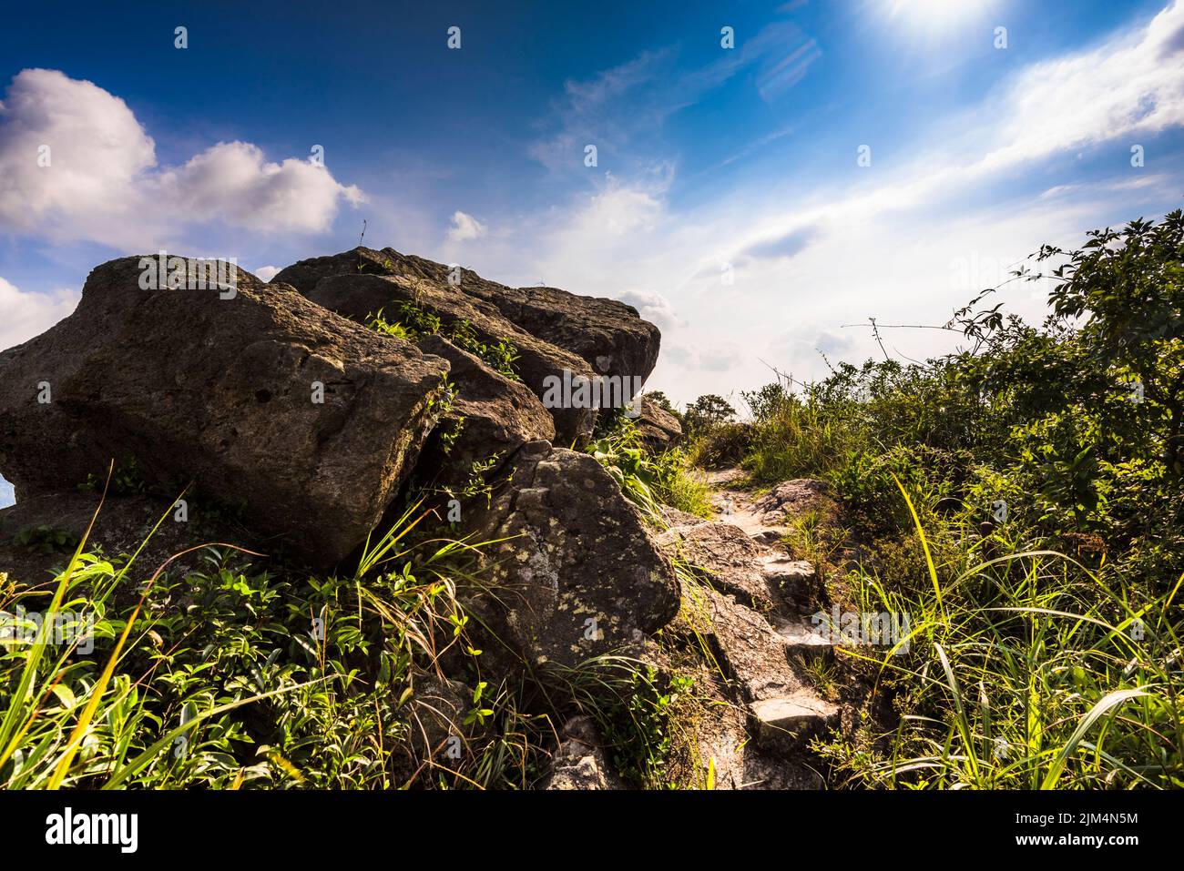 Image For Rocks View of a natural landscape with rocks and plants Stock Photo - Alamy