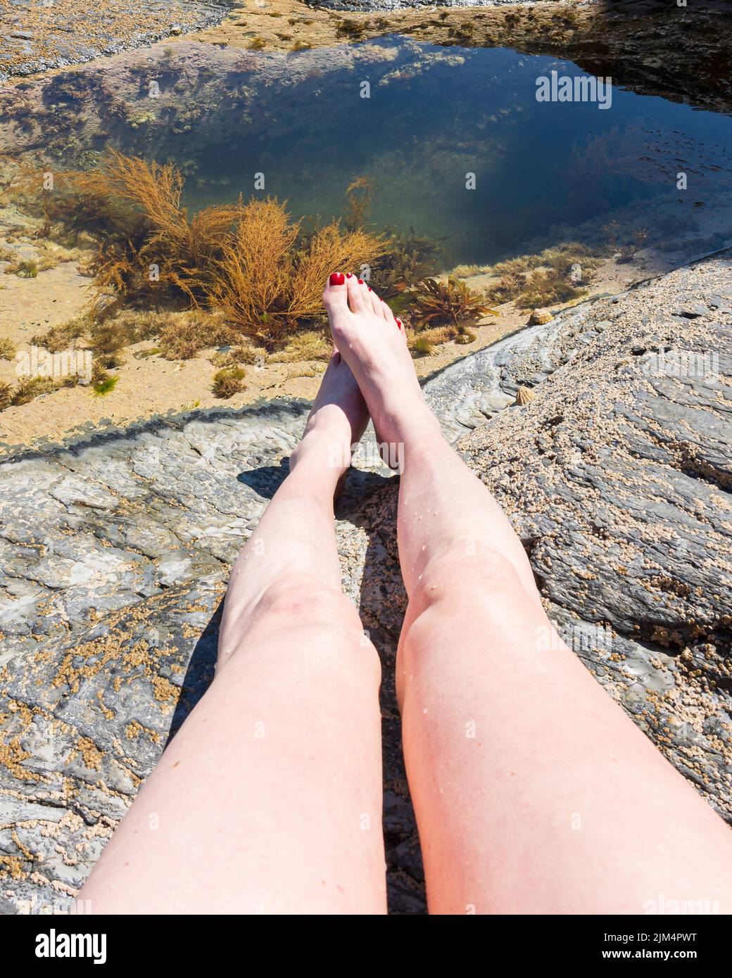 Transgender woman getting her legs tanned on scenic Cornwall beach.Legs only. Stock Photo
