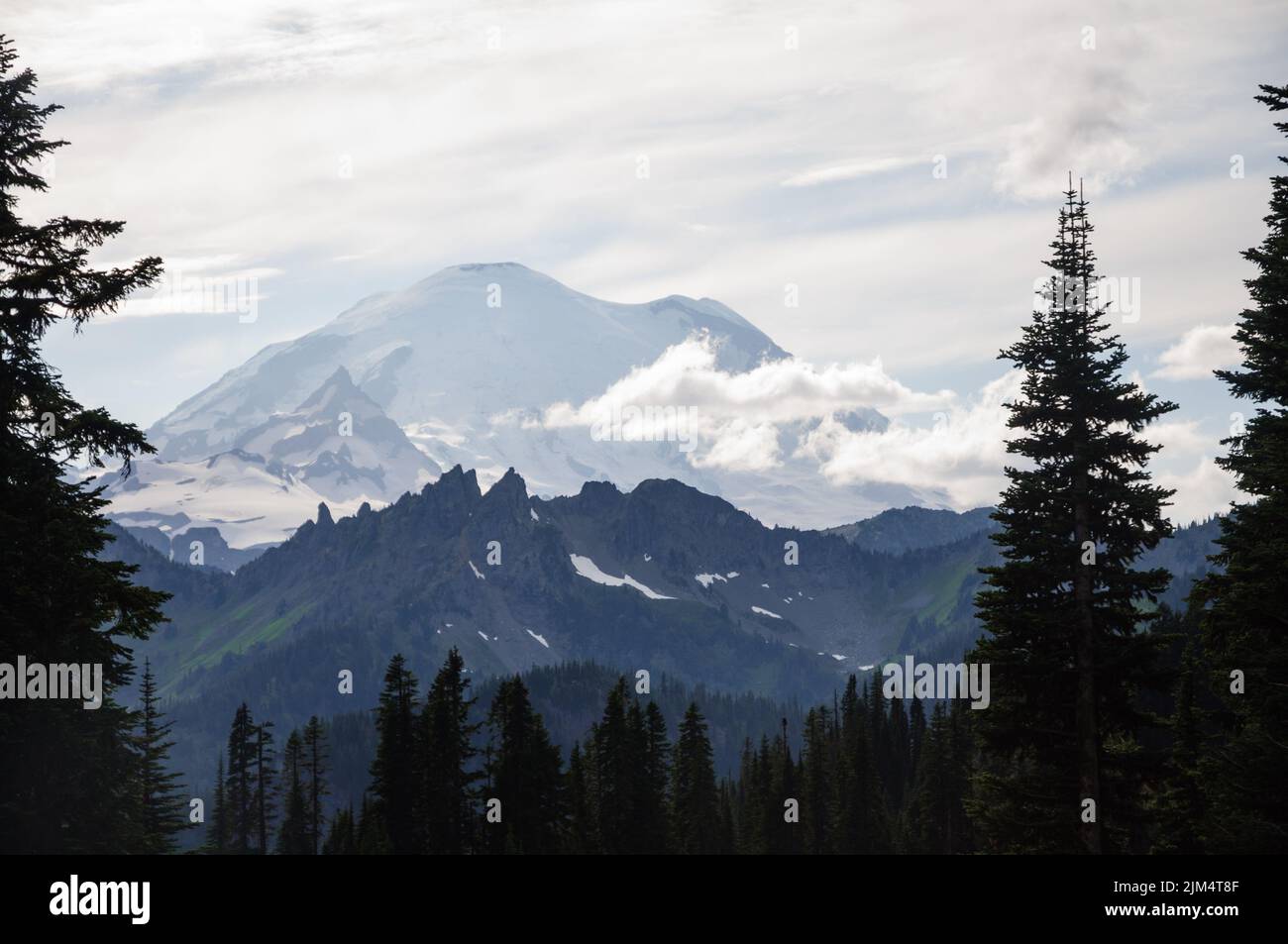 Picture of Mt. Rainier during the summer, framed by Evergreen Trees on sides and bottom of the image. Darker foreground with a more pastel mountain. Stock Photo
