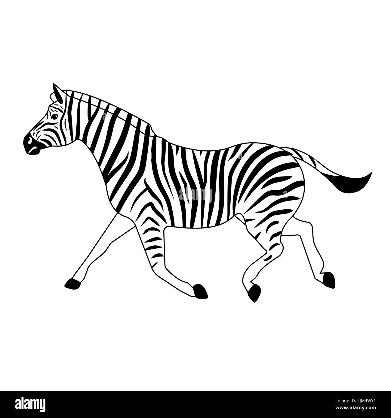 Vector flat outline zebra isolated on white background Stock Vector