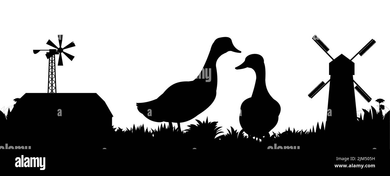 Ducks graze in pasture. Picture silhouette. Farm pets. Domestic poultry. Isolated on white background. Vector Stock Vector