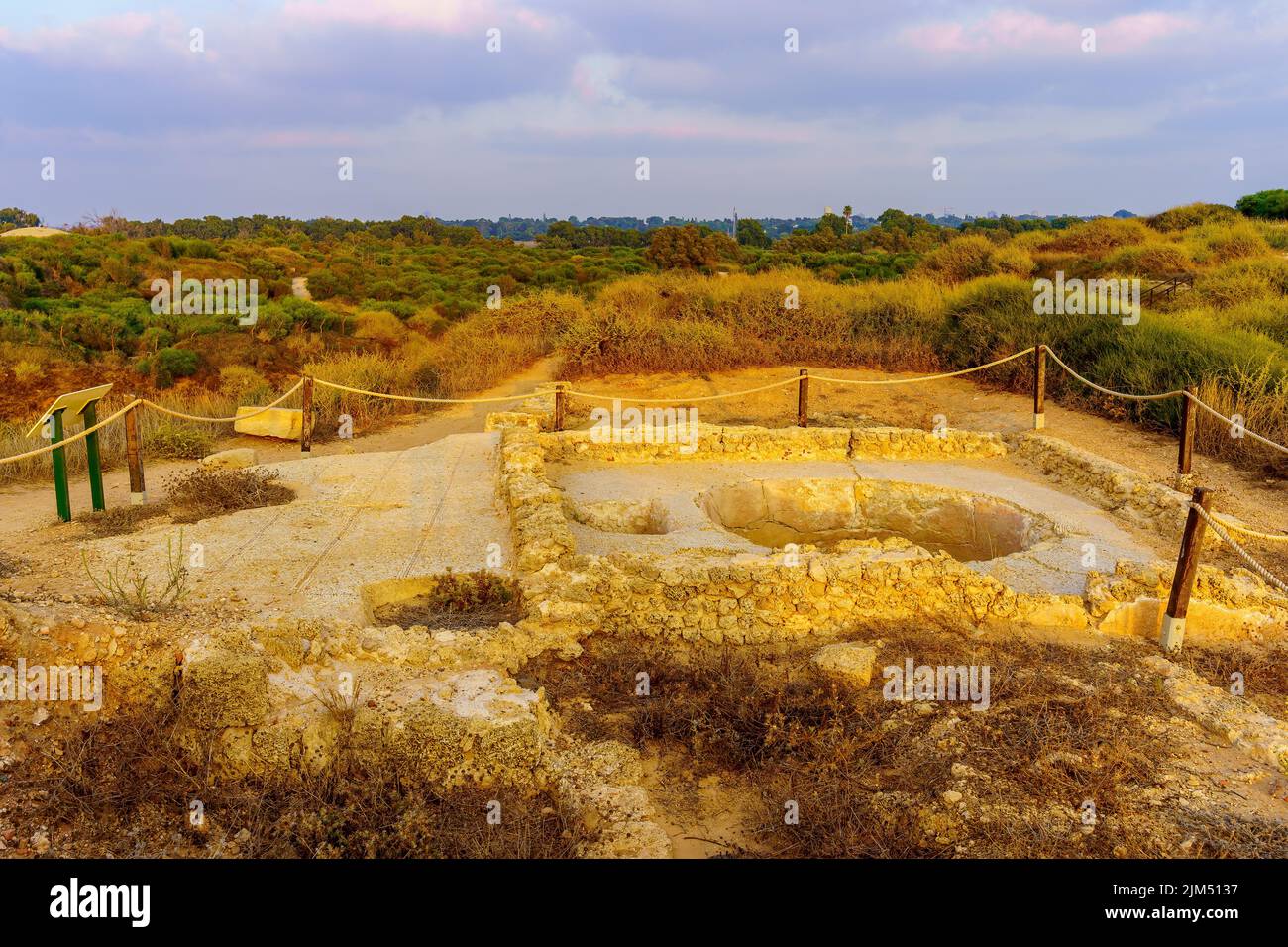 View on an ancient wine press, with a mosaic floor, in Apollonia