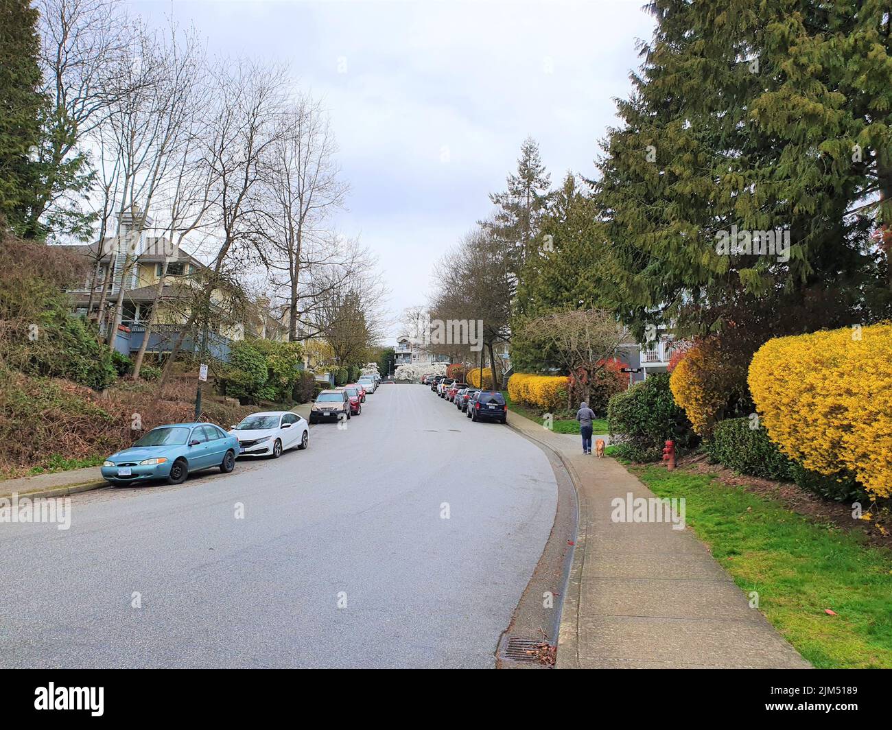 Residential neighborhood street in the suburbs of downtown Vancouver