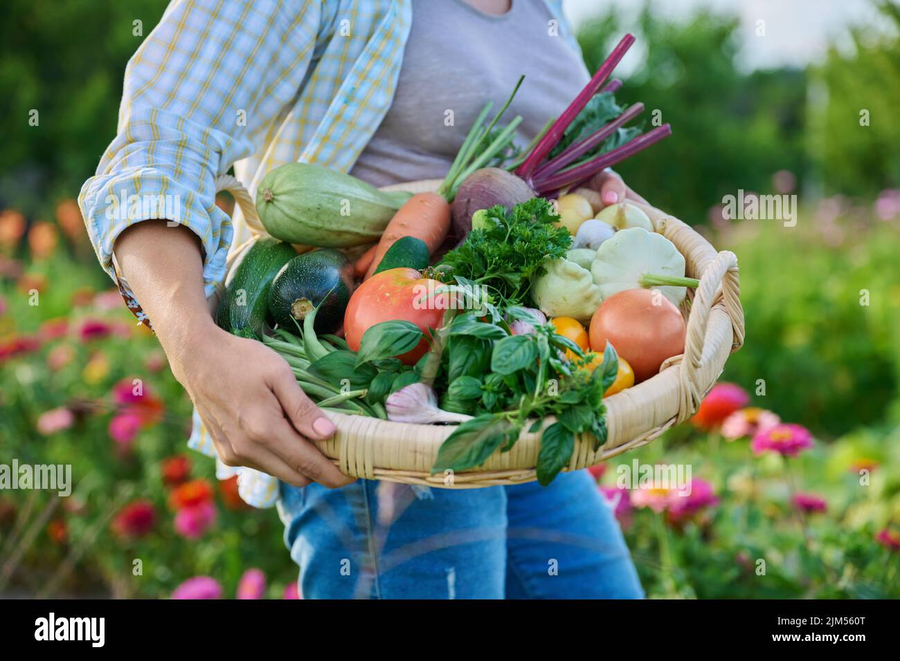 Close up basket of fresh raw organic vegetables in farmer hands Stock ...