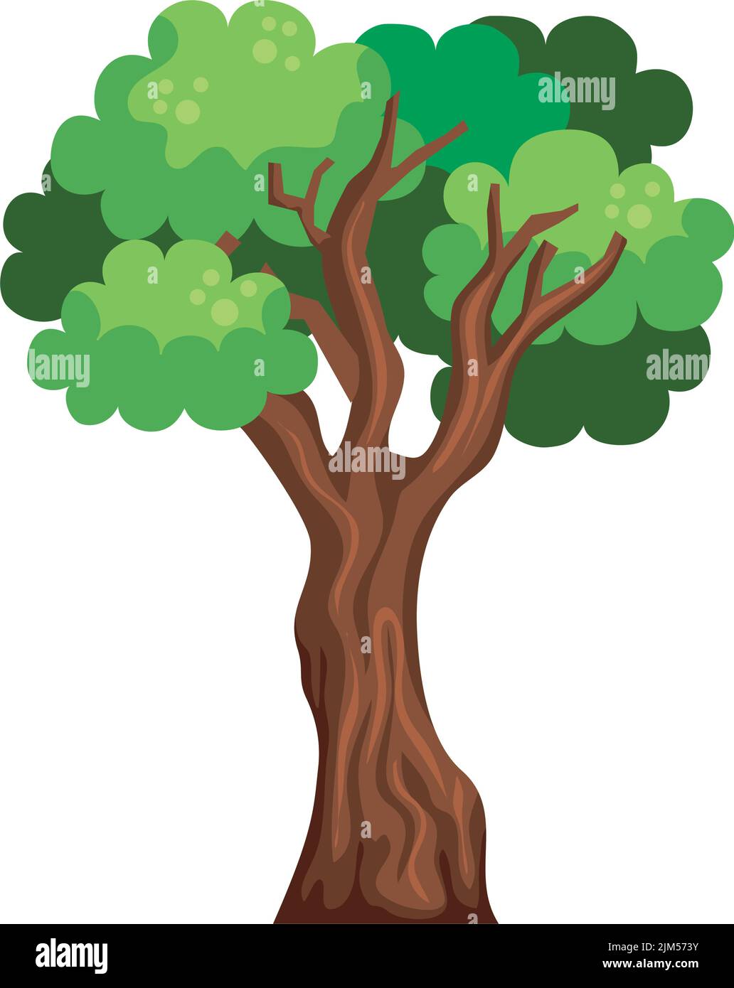 tree plant forest Stock Vector Image & Art - Alamy