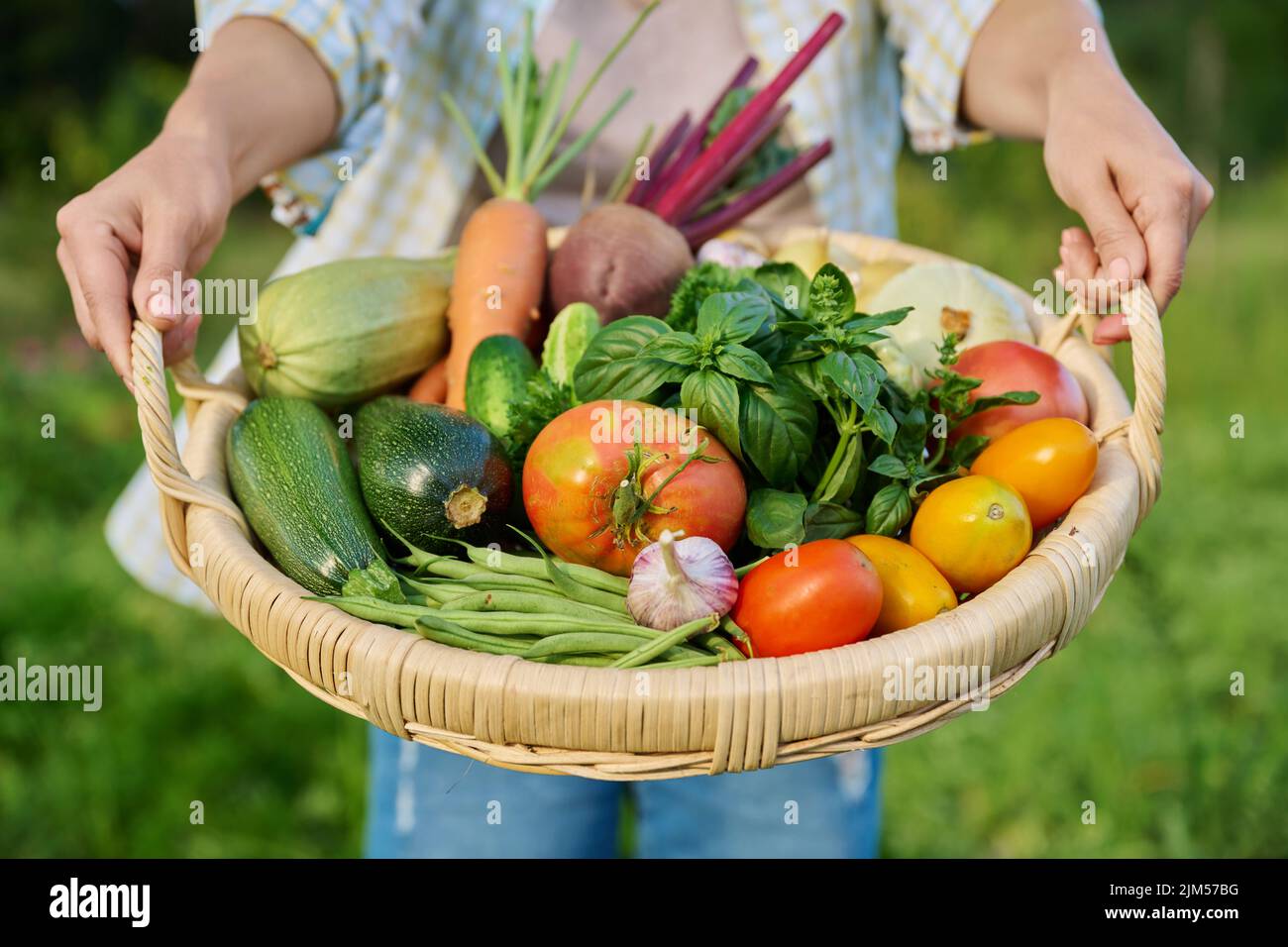 Close up basket of fresh raw organic vegetables in farmer hands Stock ...