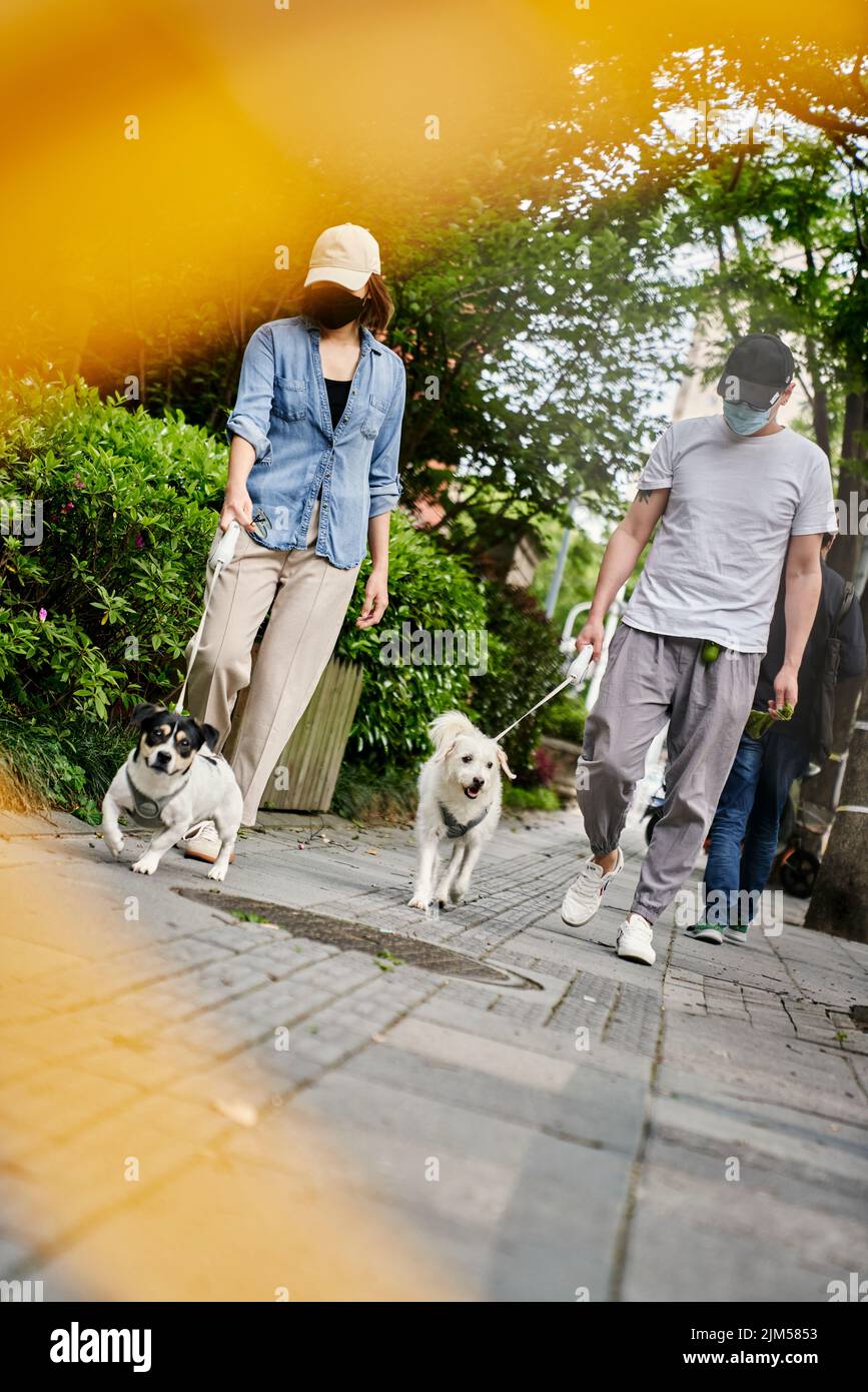 A couple was walking their dogs in lockdown Stock Photo