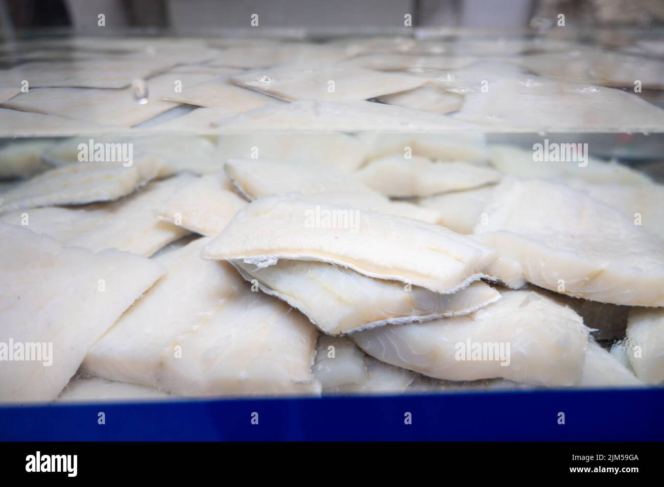 White salted and dried bacalao codfish in watertank, traditional