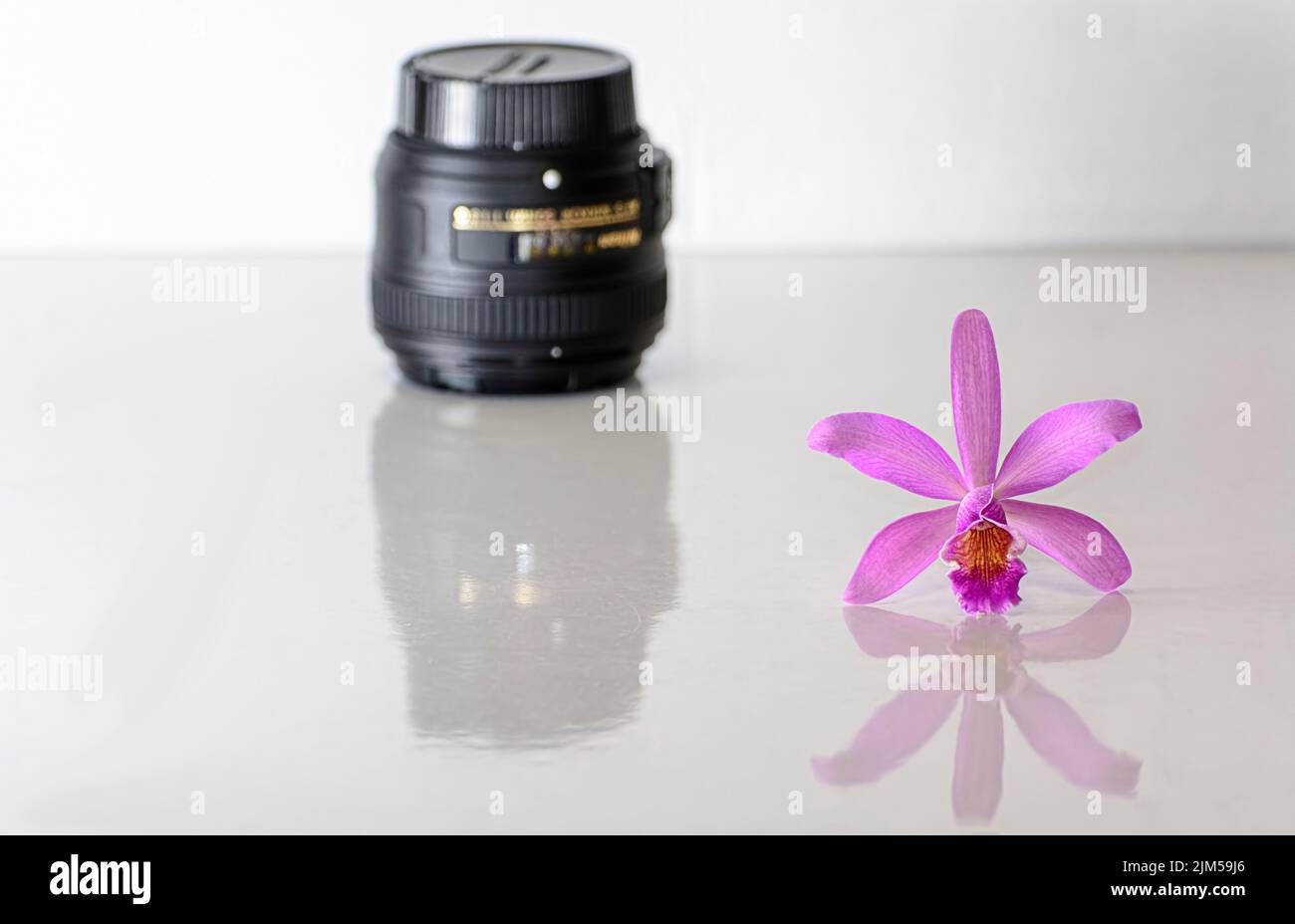 A closeup shot of a cattleya orchid with a blur camera lens isolated on a white background Stock Photo