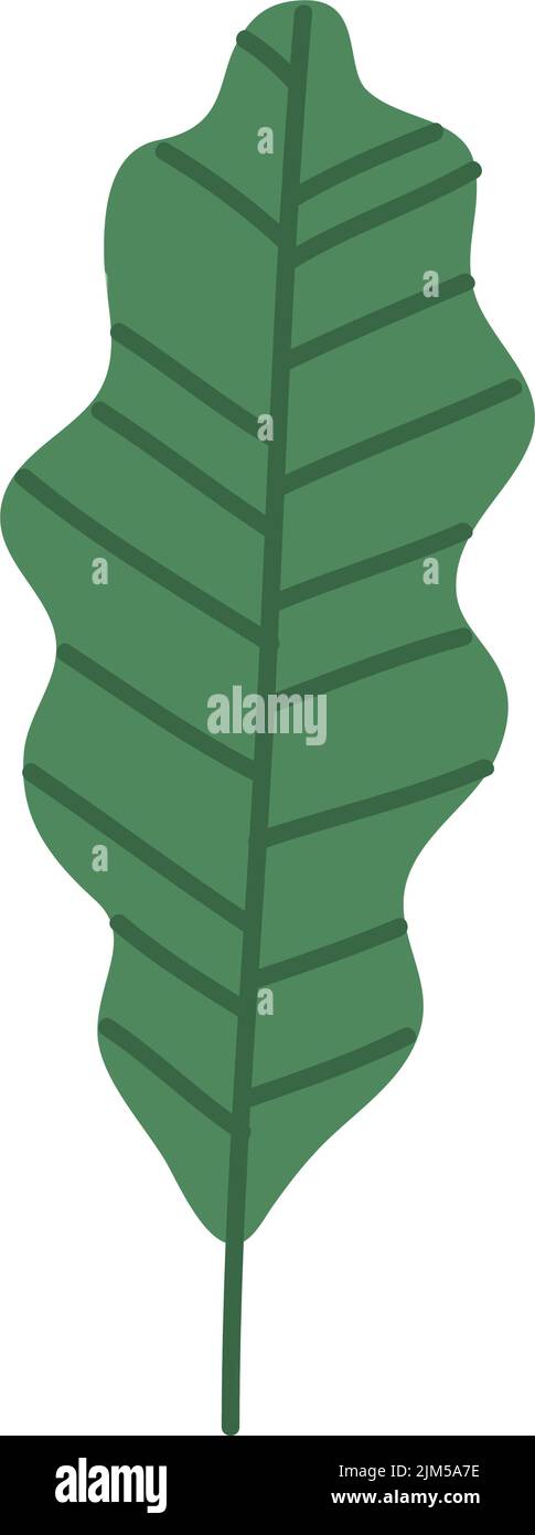 leaf plant foliage Stock Vector Image & Art - Alamy