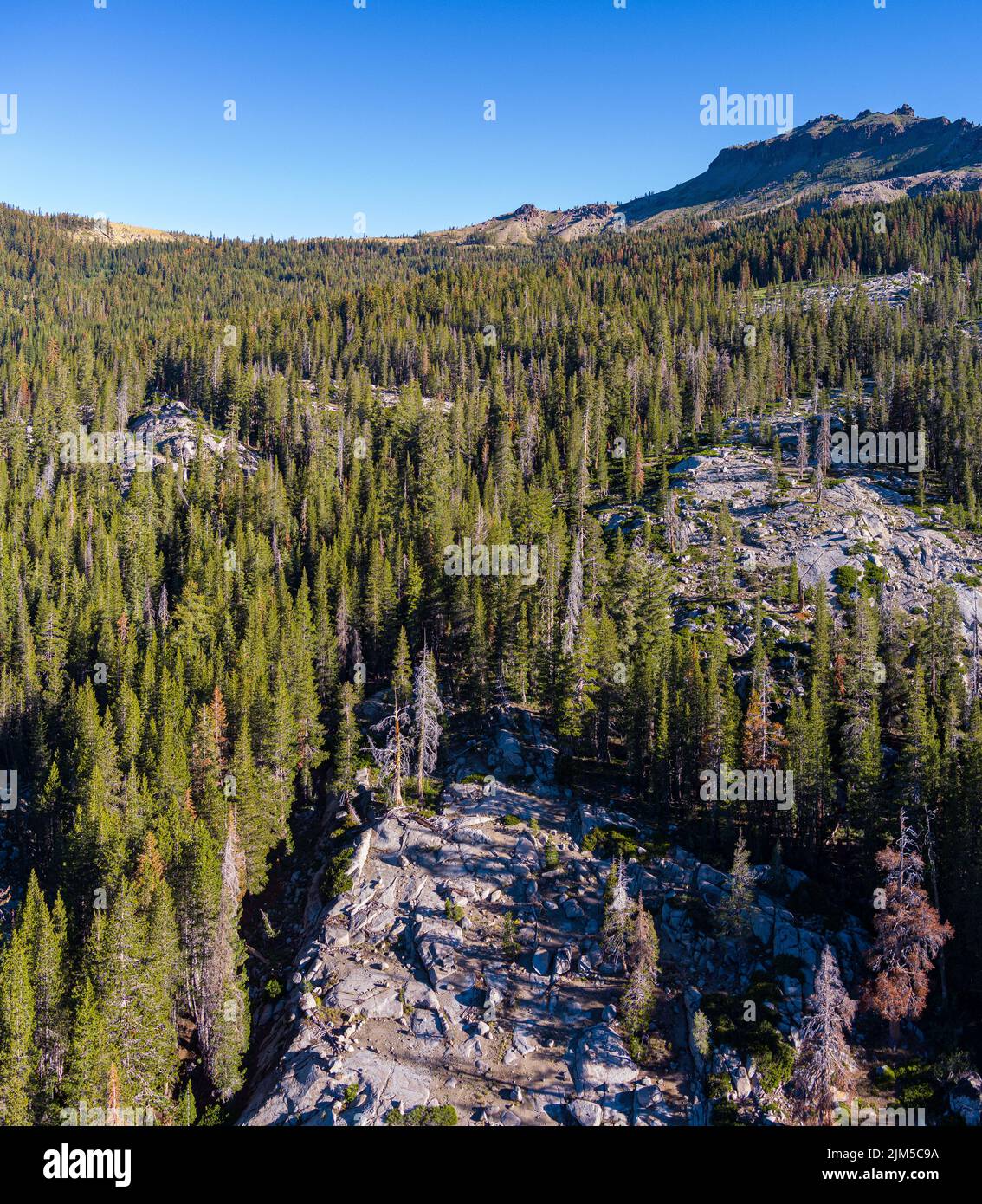 Granite rocks and pine trees form a mountainside in the Sierra Nevada