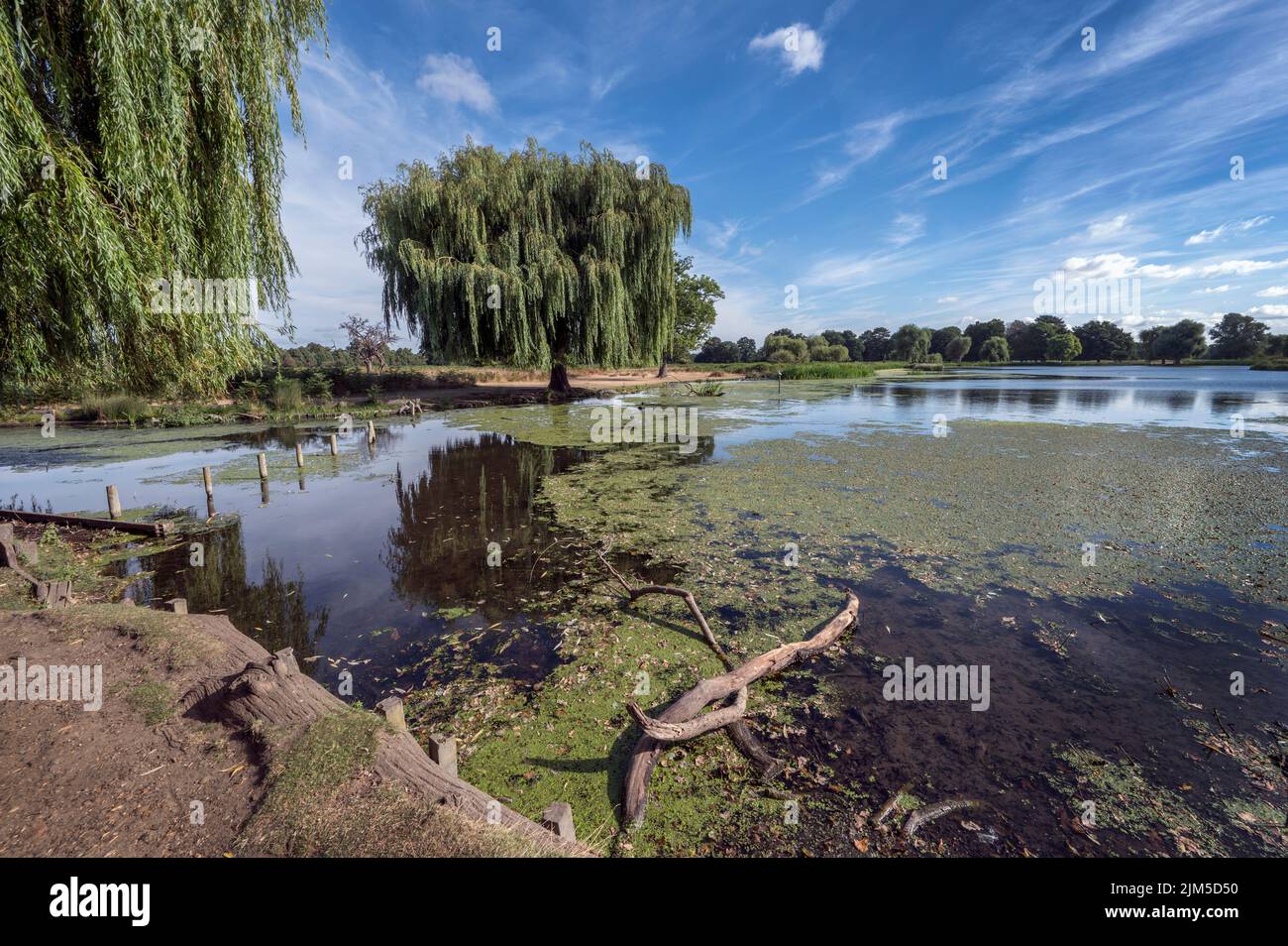 Boat and Heron pond meeting point at Bushy Park in Surrey UK Stock