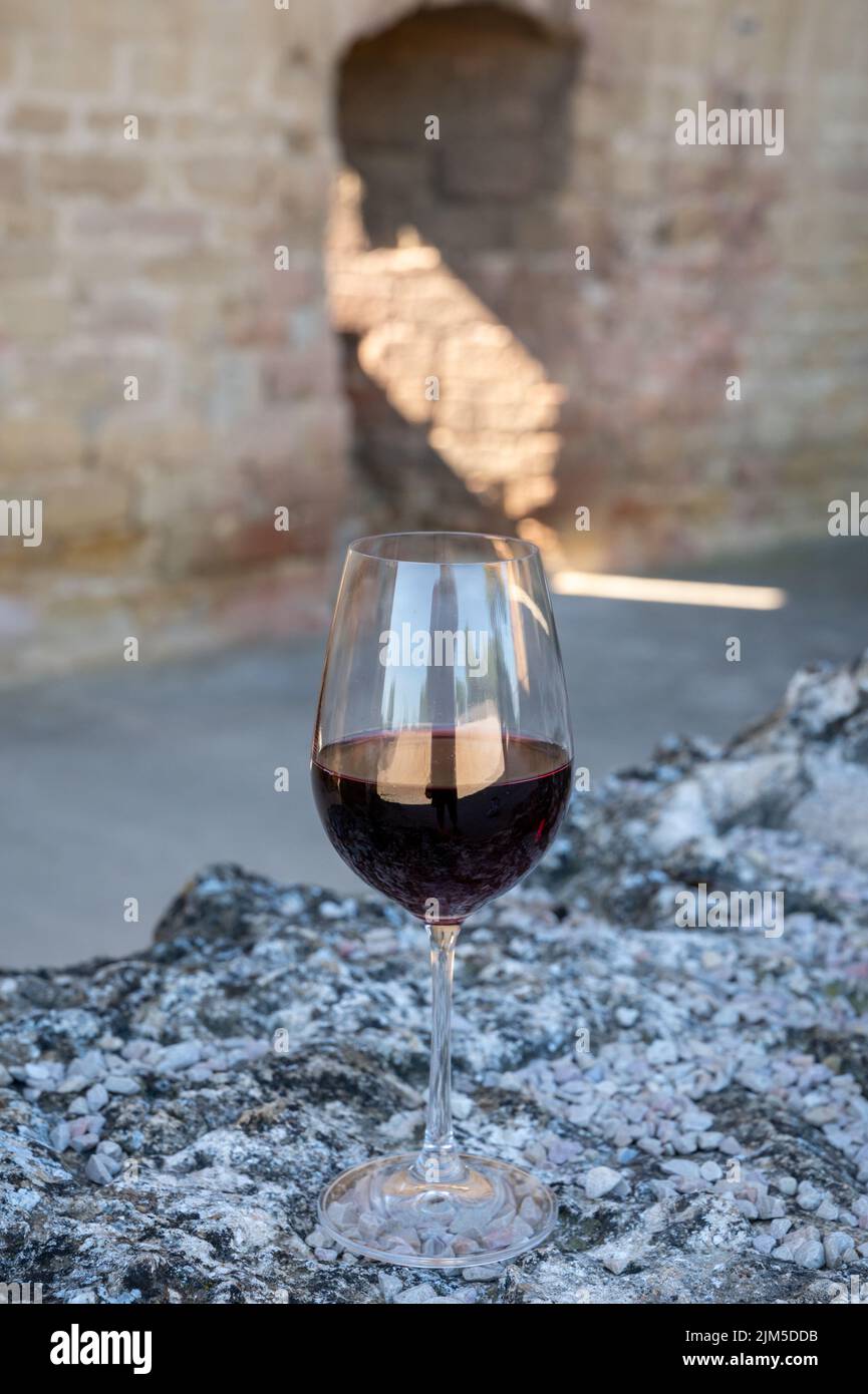 Wine tour with tasting of red dry wine and ruins of medieval castle of ChâteauneufduPape
