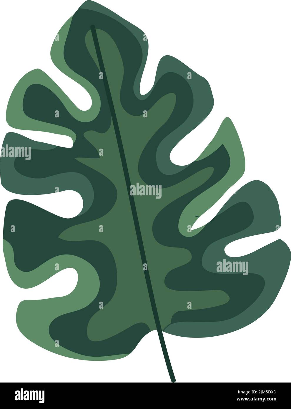 exotic leaf plant foliage Stock Vector Image & Art - Alamy