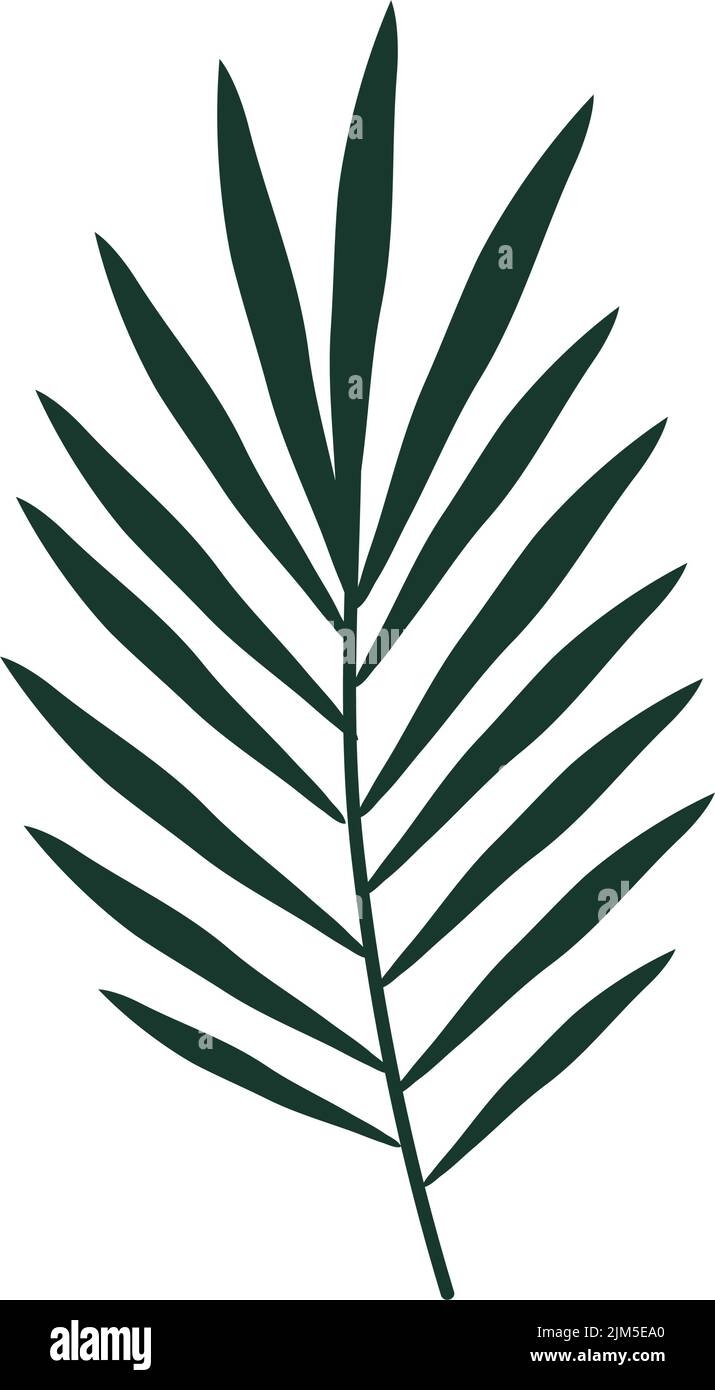 tropical branch palm Stock Vector Image & Art - Alamy