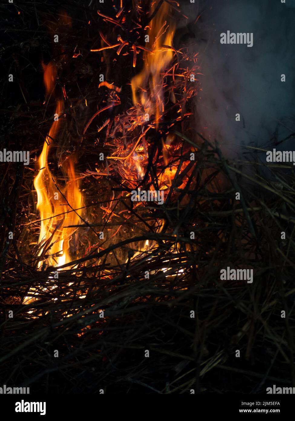 A closeup shot of burning tree branches and hay at a night with white