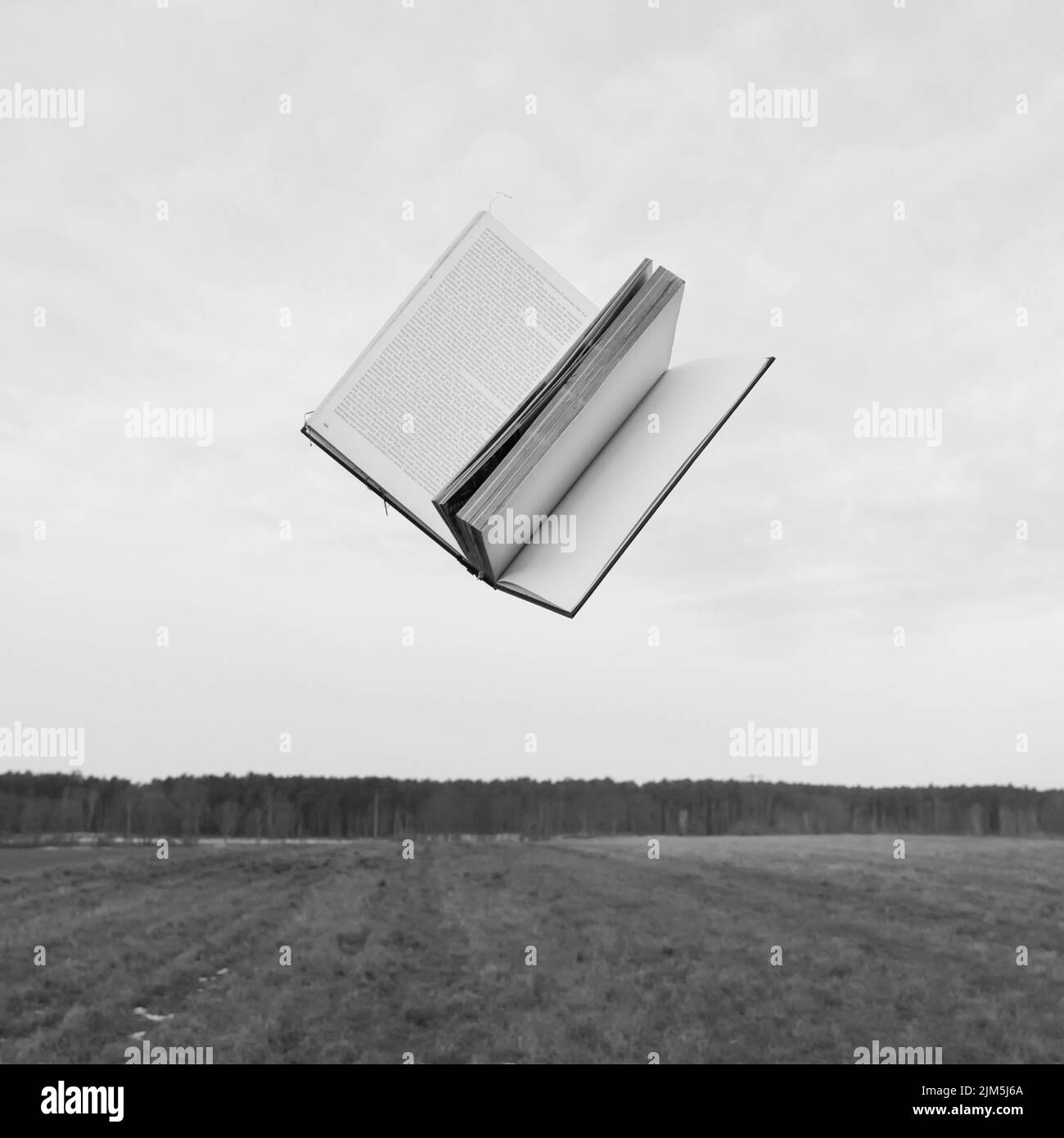 A grayscale shot of an open book flying over a meadow against the sky Stock Photo