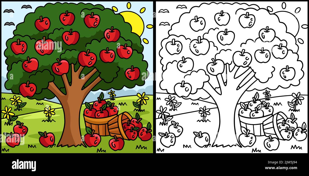 Apple Tree Coloring Page Colored Illustration Stock Vector